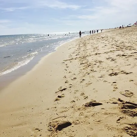 Penzion Discovery 4*